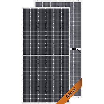 Bifacial Module
